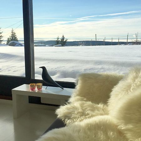 Mountain View Apartment With Sauna Nordseter Extérieur photo